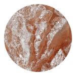 pink-champagne-molly Pink Champagne Molly