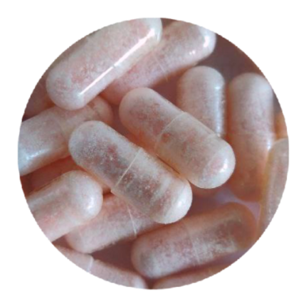 Pink Rhino MDMA Capsules
